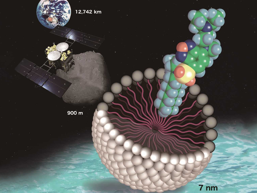 Probing Nanosized Micelles with Fluorescent Sensors