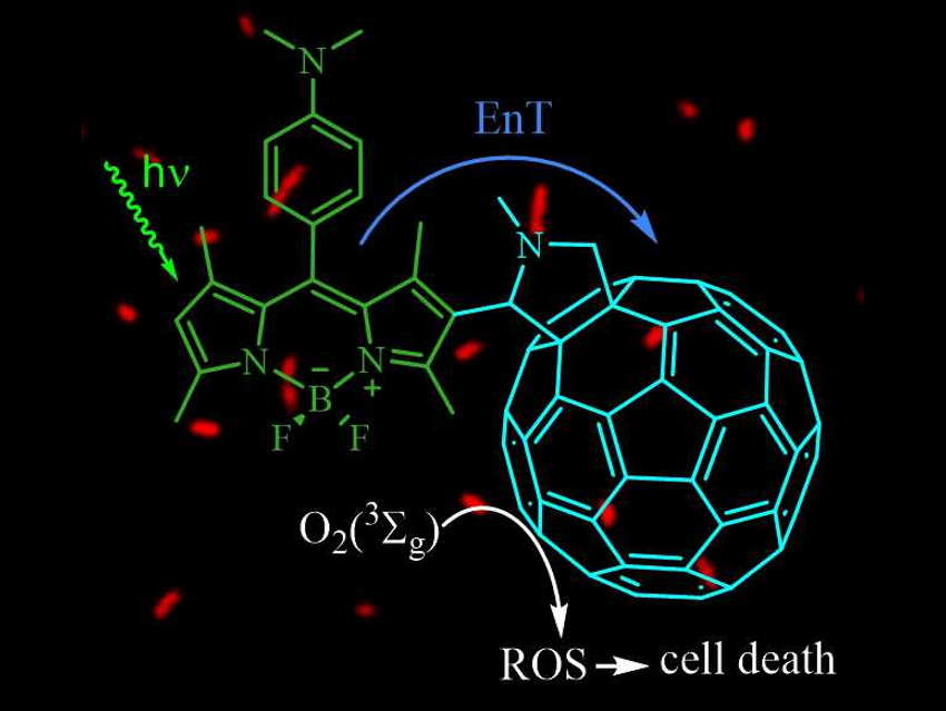 An Antimicrobial Phototherapeutic Agent