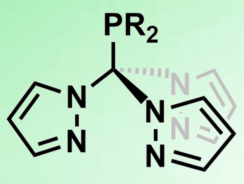 New Type of Scorpionate Ligand