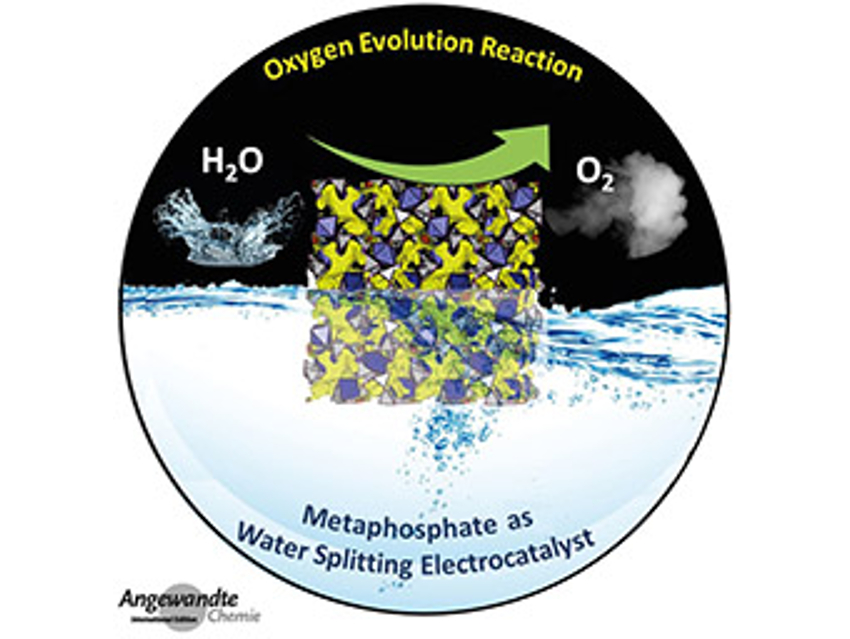 Angewandte Chemie 25/2019: Giving Directions