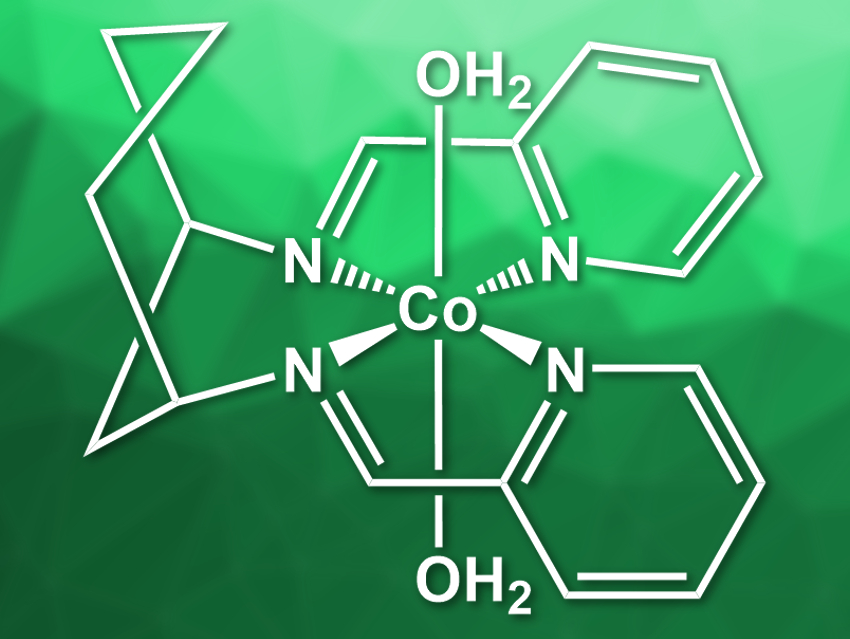 Hydrogen Evolution Catalysts Can Be Used for Organic Reactions