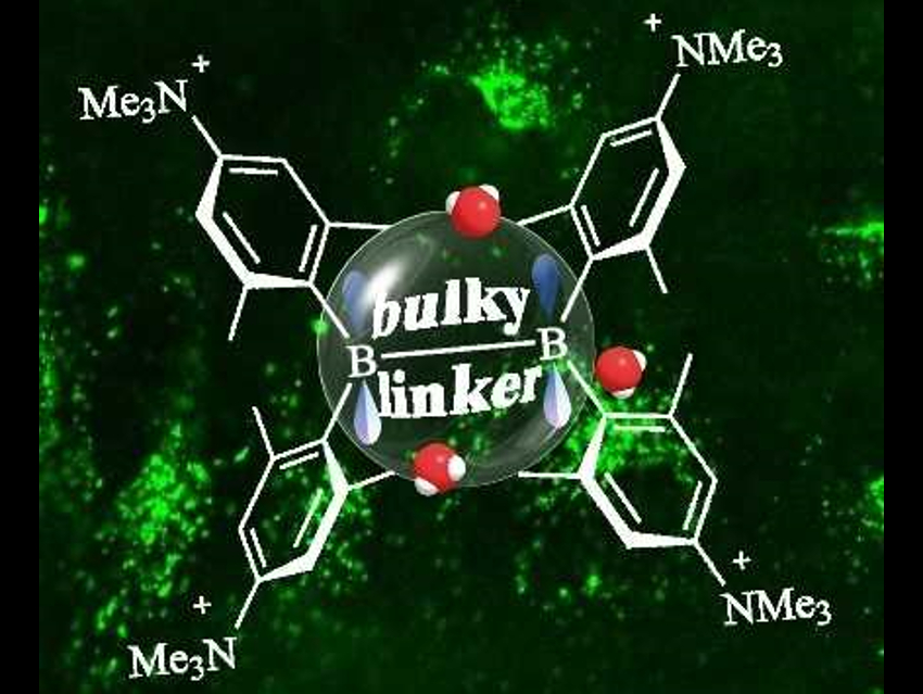 New Bis(triarylborane) Compounds for Live-Cell Imaging