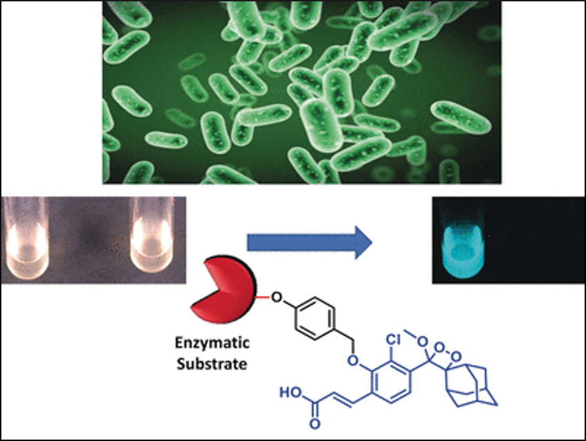 Glow Reveals Dangerous Bacteria