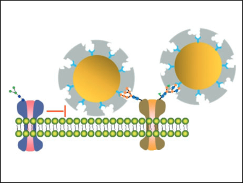 Nanospheres Fight Breast Cancer