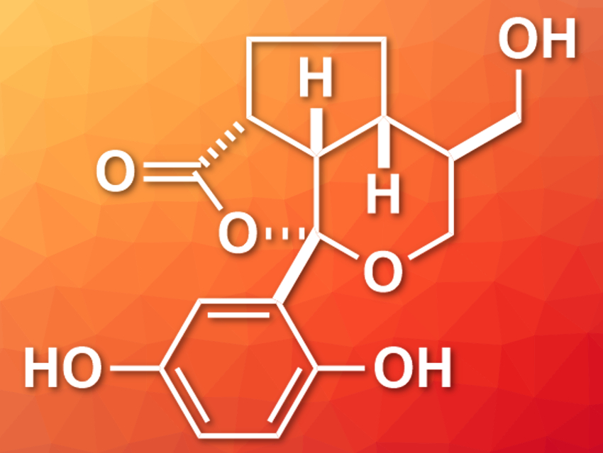 Total Synthesis of Applanatumol B