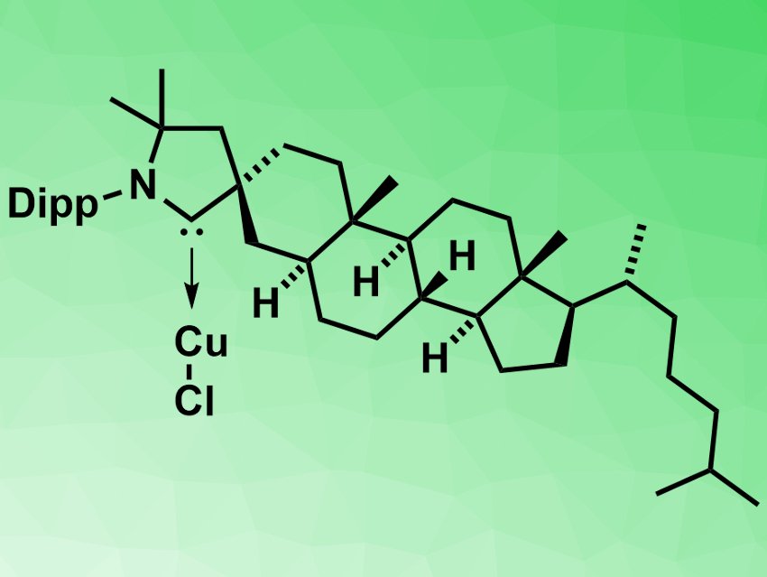 First Chiral CAACs in Asymmetric Catalysis