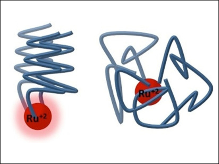 Tuning the Luminescence of a Ruthenium Complex with Peptoids