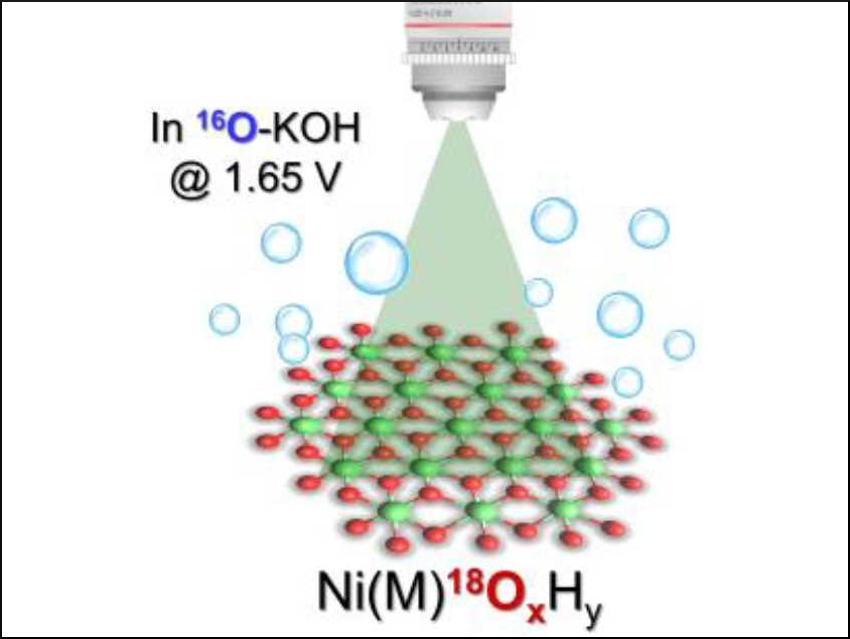 Tracking Water Oxidation on Nickel and Nickel Iron Oxides