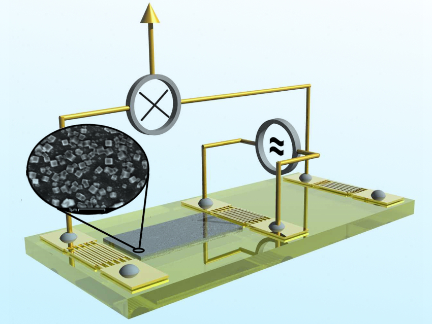 Quantum Sieve Separates Hydrogen and Deuterium