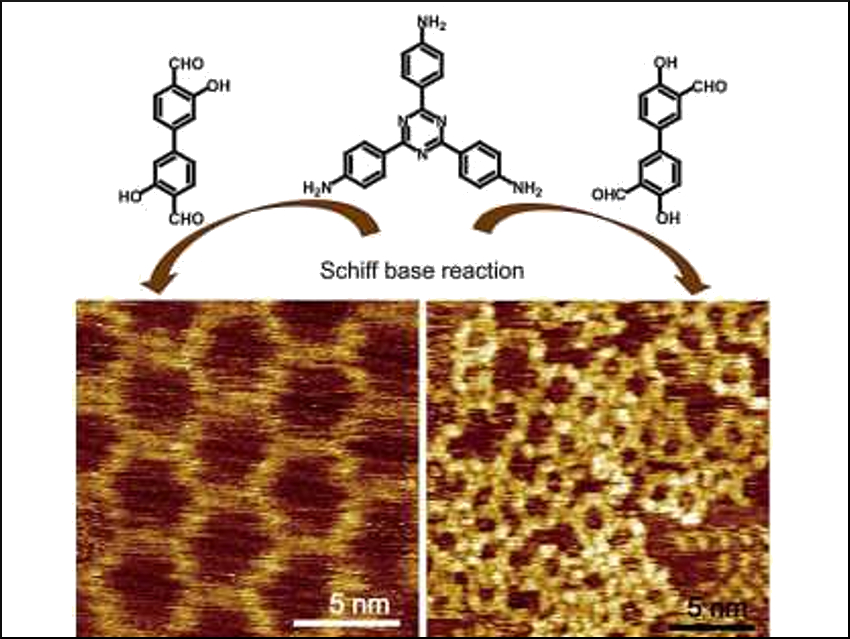 Hydroxyl-Functionalized 2D Polymers