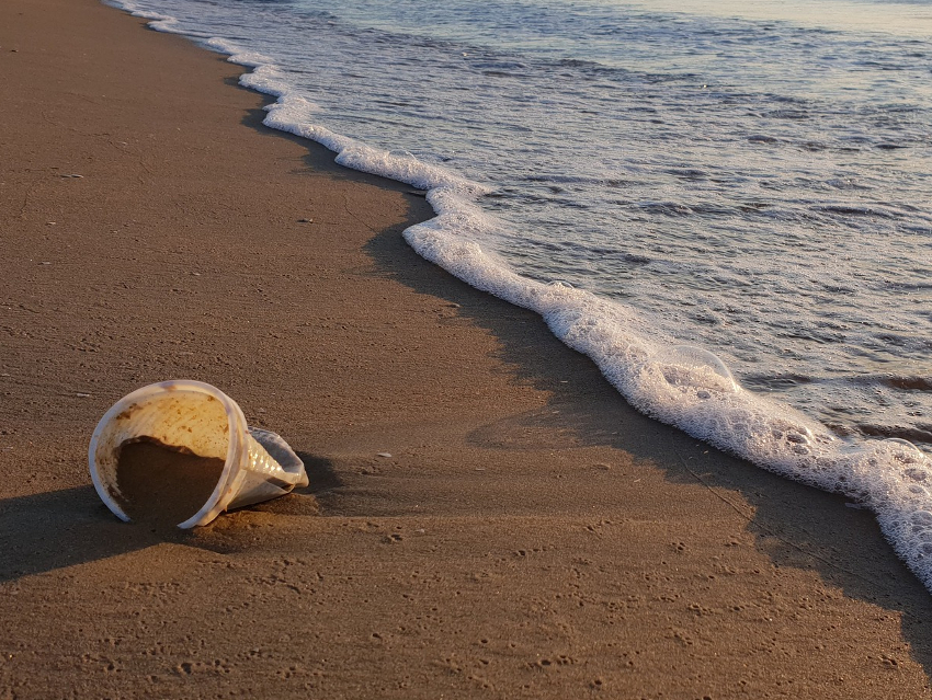 How Much Plastics Ends Up in the Environment Every Year?