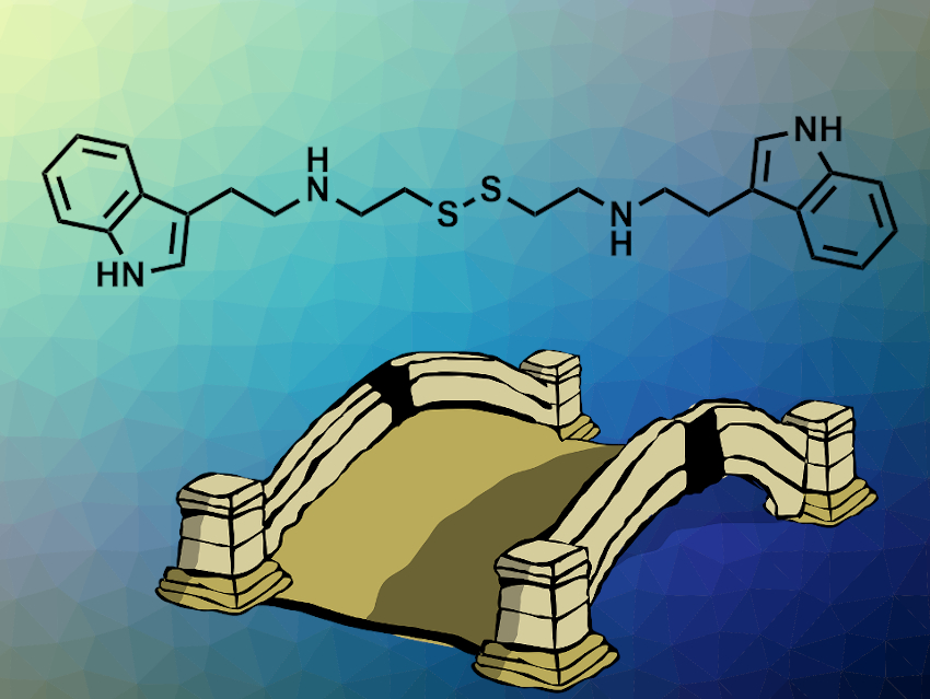 Like a Bridge over Troubled Enzymes