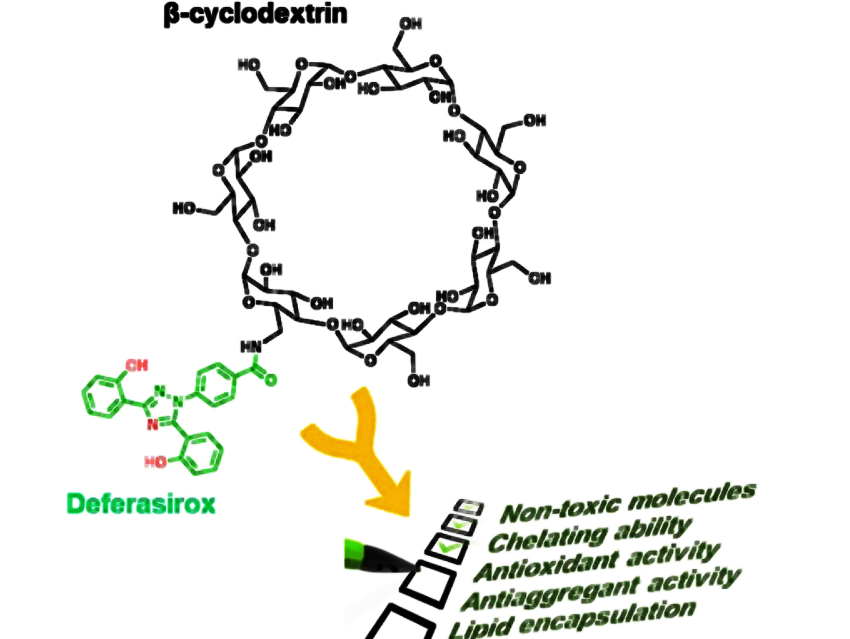 New Hybrid Structure for Multitarget Therapies