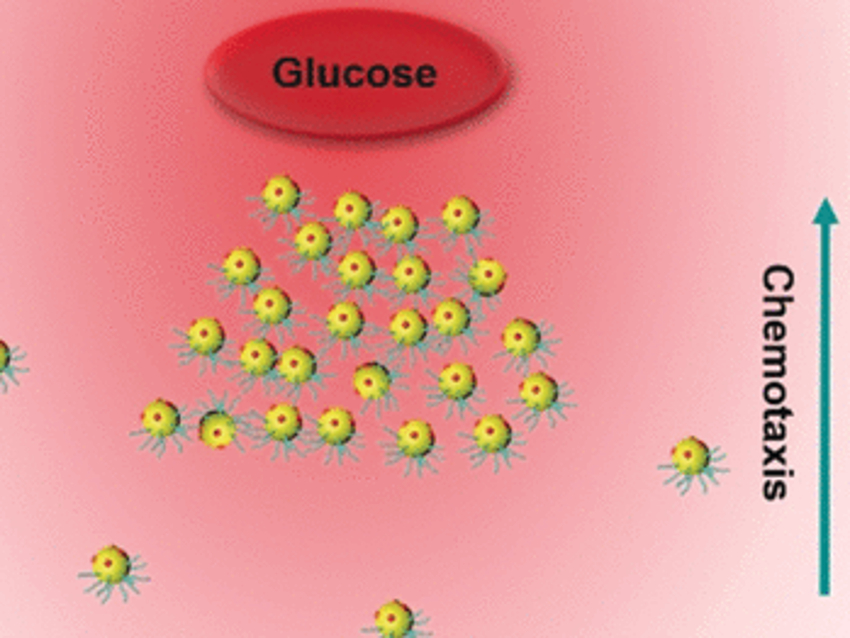 Swarming Gold Nanoparticles