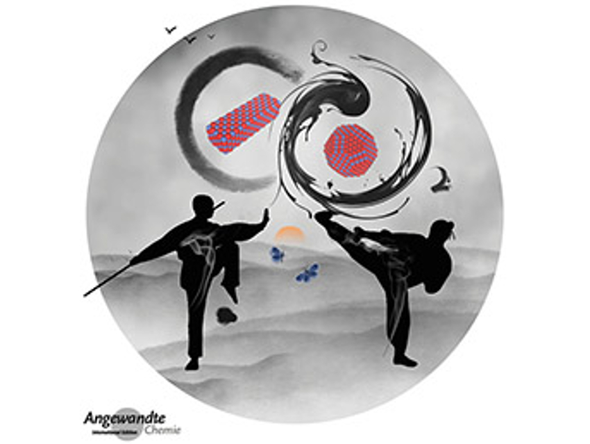 Angewandte Chemie 33/2019: A Soft Spot for Chemistry