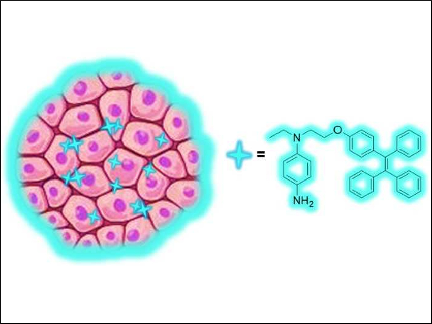 Aggregation‐Induced Emission Dots for Tumor Imaging