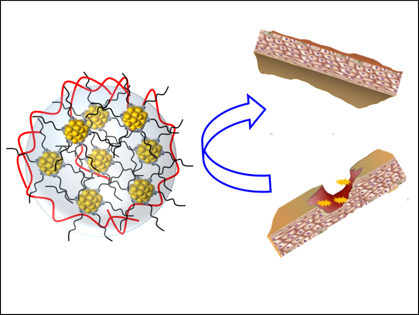 Antimicrobial Nanoaggregates for Wound Healing