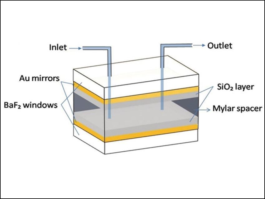 Cooperative Cavity Catalysis