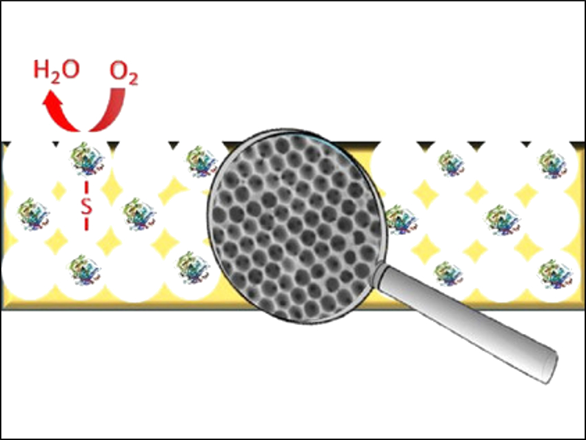 An Engineered Enzyme on a Gold Electrode