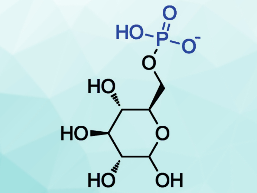 Spontaneous Phosphorylation of Monosaccharides