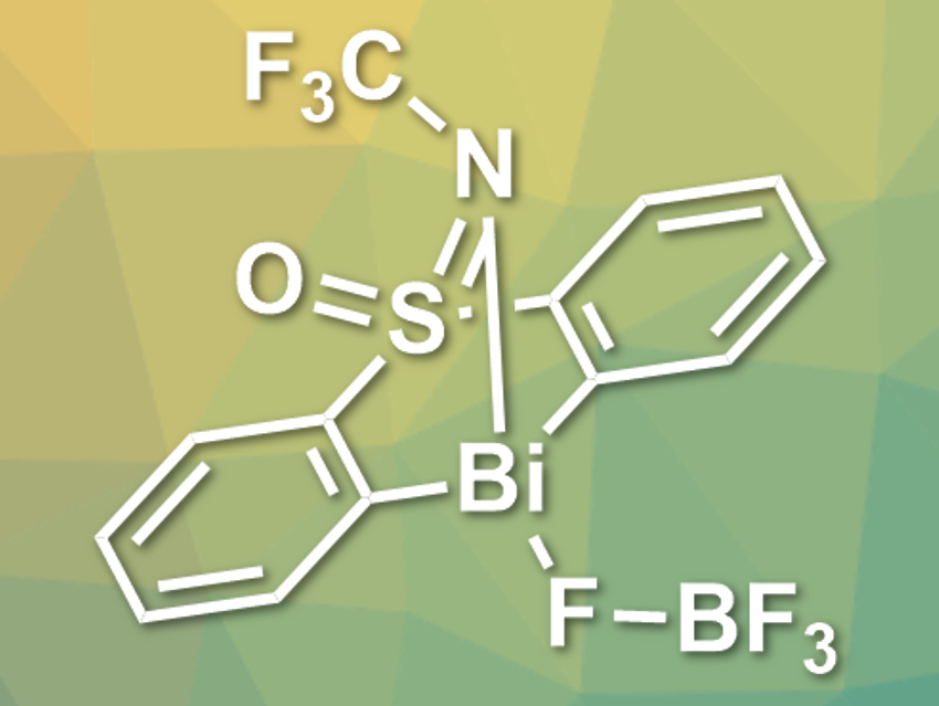 Bismuth Can Act Like a Transition-Metal Catalyst