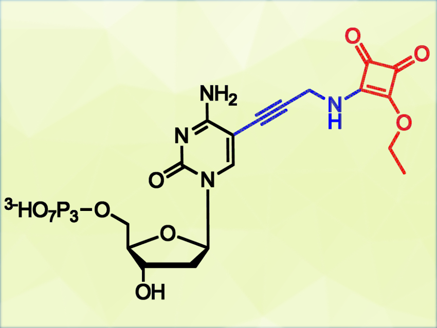 DNA–Protein Cross-Linking