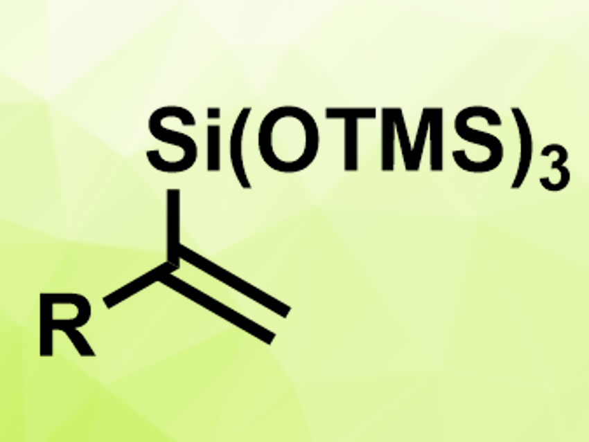 Iridium-Catalyzed Hydrosilylation of Alkynes