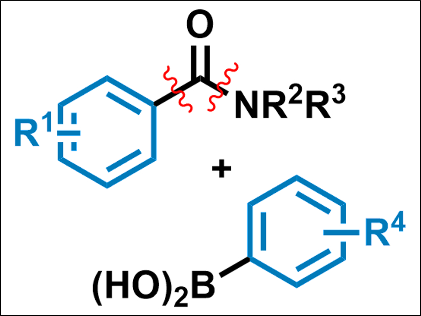 Cross-Coupling of Aromatic Amides under CO Loss