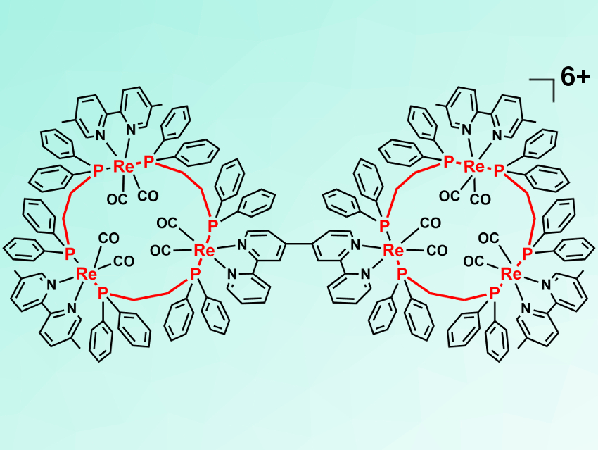 Hexanuclear Rhenium Complex Shaped Like a Pair of Glasses