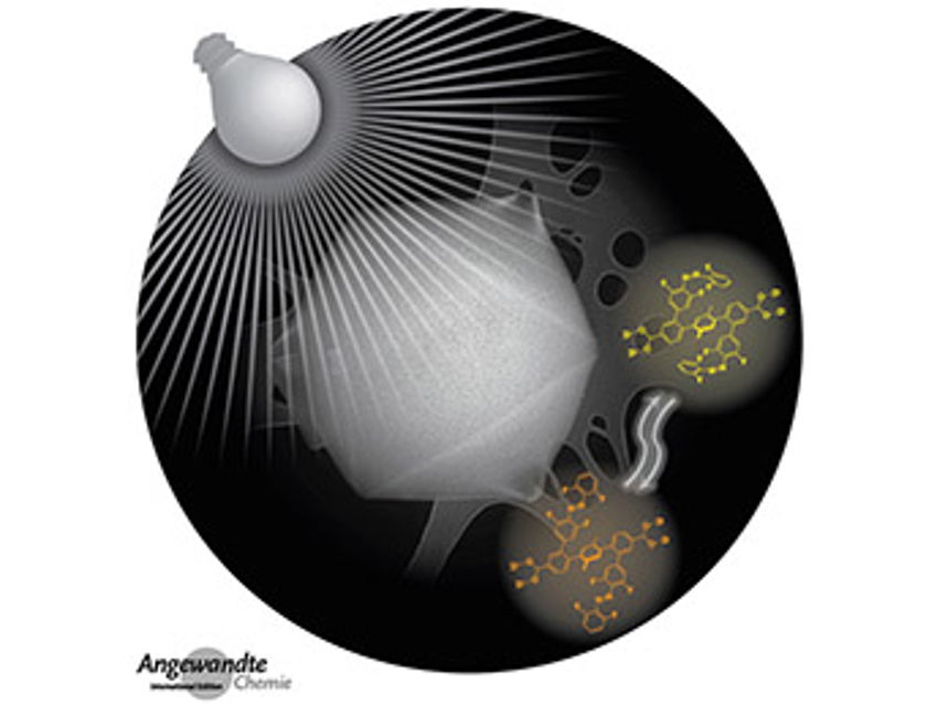 Angewandte Chemie 37/2019: Science Forum