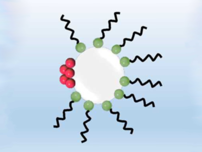 Sodium Dodecyl Sulfate Hinders Crystallization in Microreactors