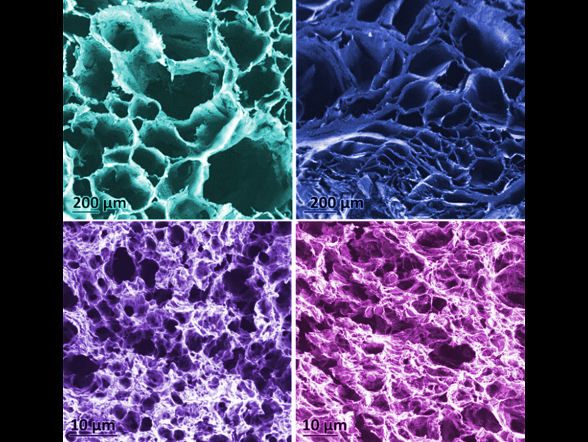 Robust Polymer Aerogels