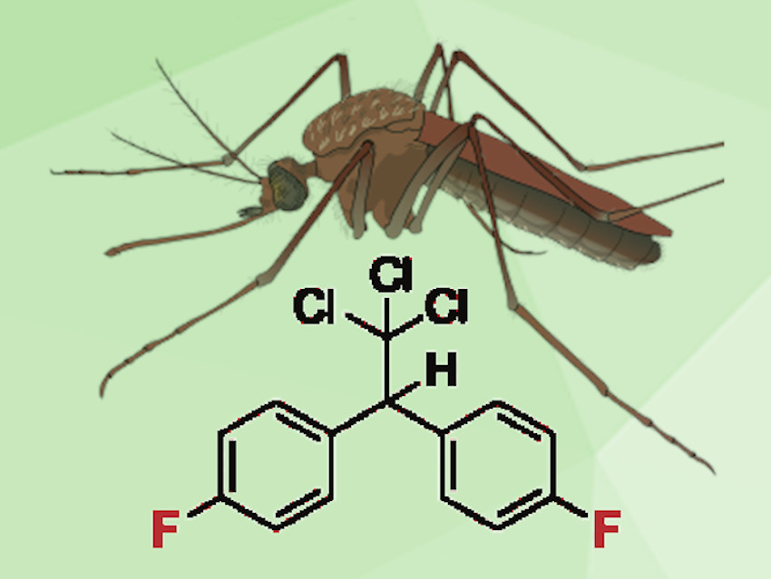 Fluorine Analogue of DDT Revisited