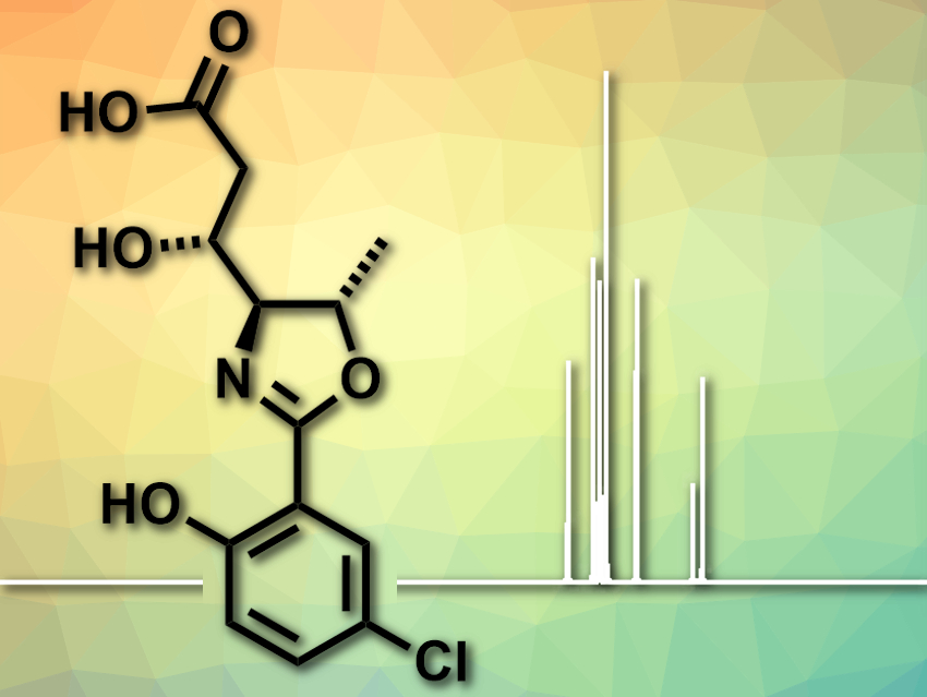 Bug Can Lead to Errors in Calculated NMR Shifts