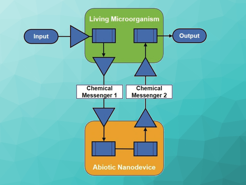 First Communication between Microorganisms and Nanodevices