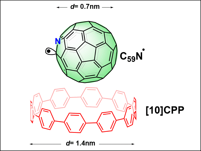 Protective Belt for Azafullerene Radicals