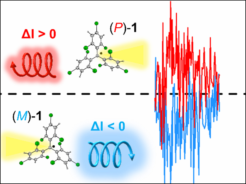 Circularly Polarized Light from Organic Radicals