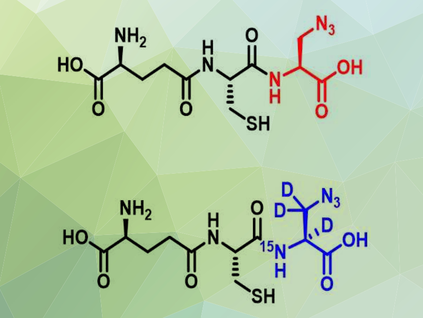 Isotopically Labelled Clickable Glutathione