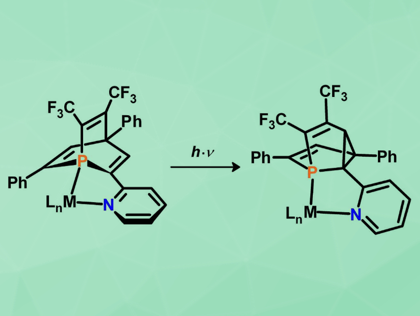 Pyridyl‐Functionalized 1‐Phosphabarrelene