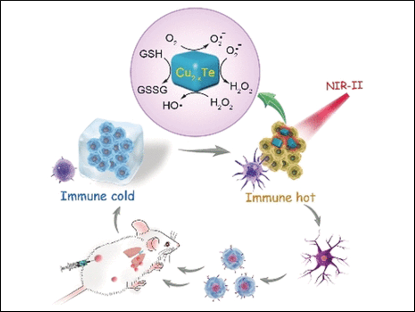 Anti-Cancer Immune System Upgrade