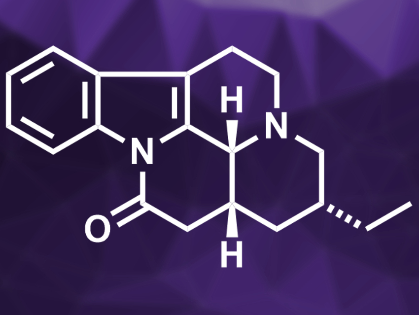 Concise Synthesis of (+)-Tacamonine