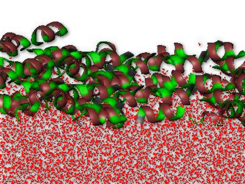 Peptide Coating of Inorganic Substrates