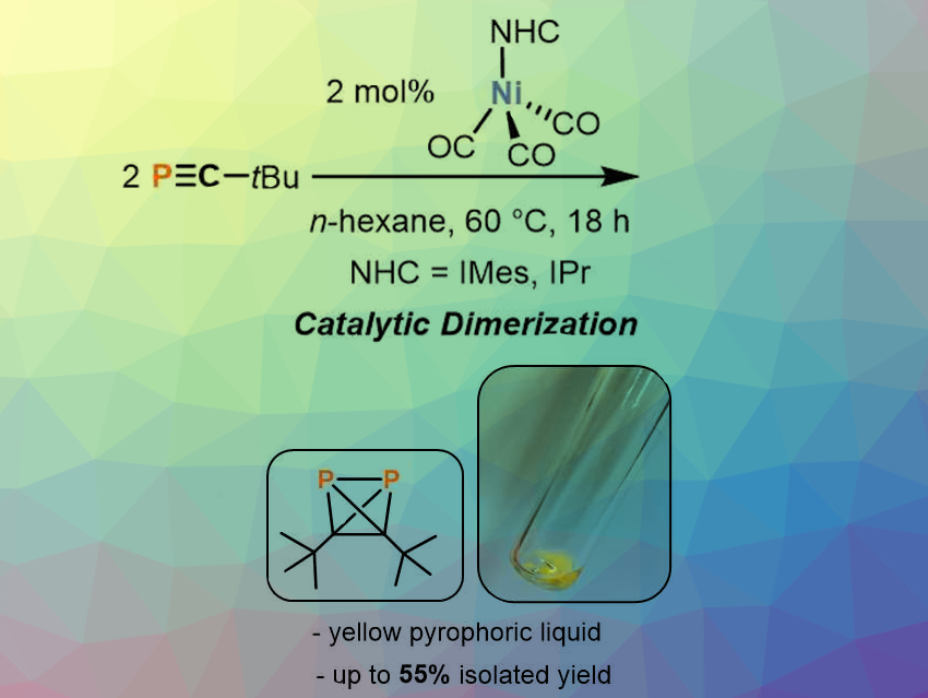 Di‐tert‐butyldiphosphatetrahedrane