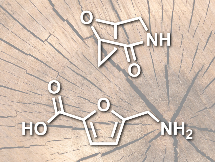 Monomers for Polyamides Made from Biomass