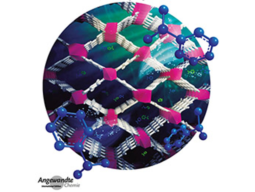 Angewandte Chemie 47/2019: A Taste for Chemistry