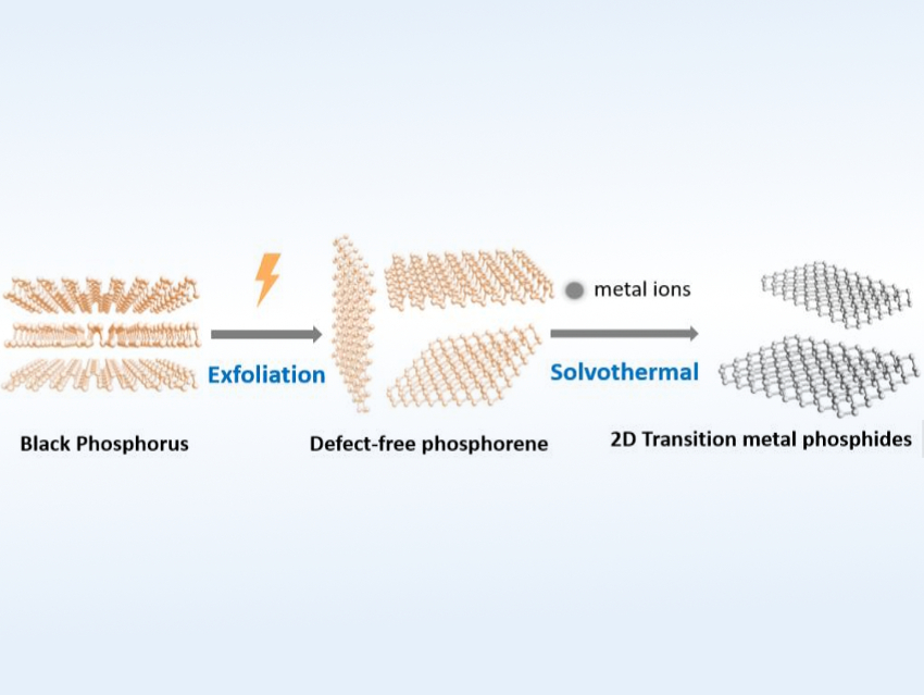 2D Transition-Metal Phosphides