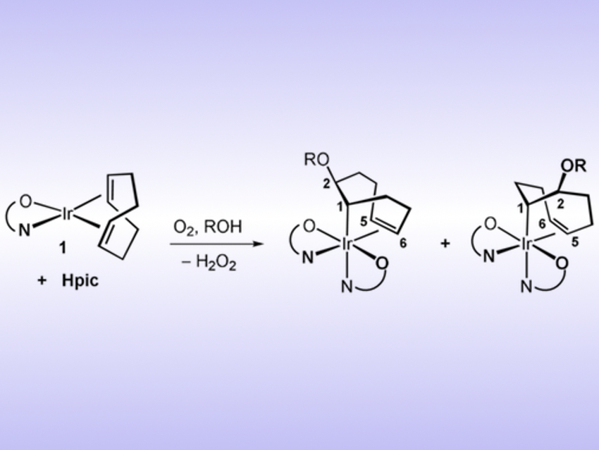 How Olefins in Iridium Complexes Can Be Oxidized
