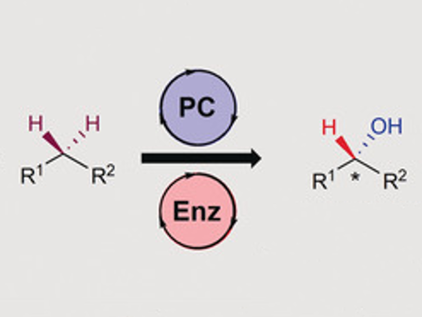 Combined Photoredox/Enzymatic C−H Hydroxylations