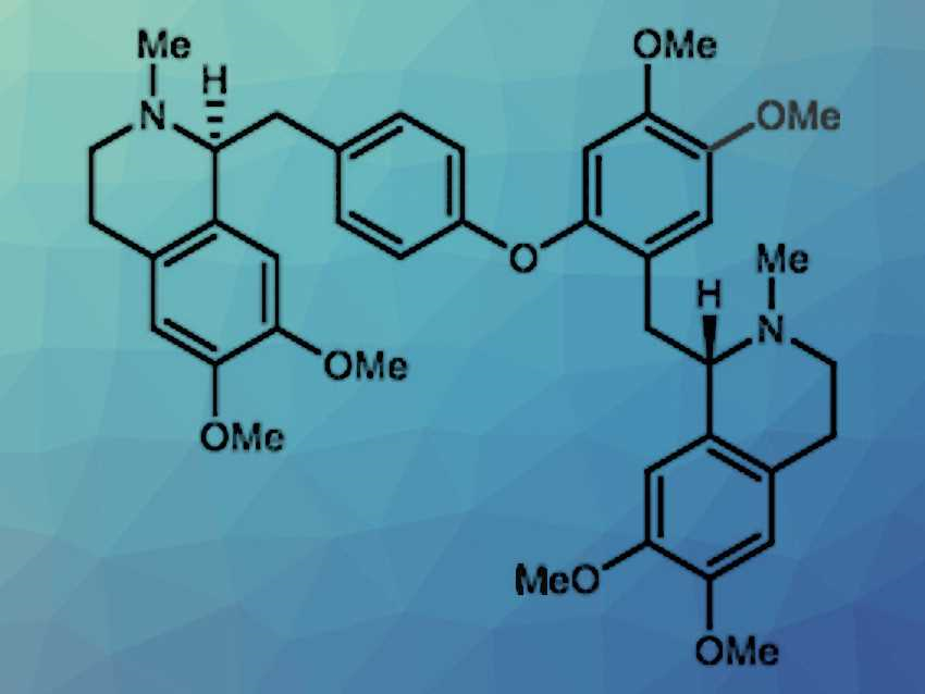 Total Synthesis of (S,S)-Tetramethylmagnolamine