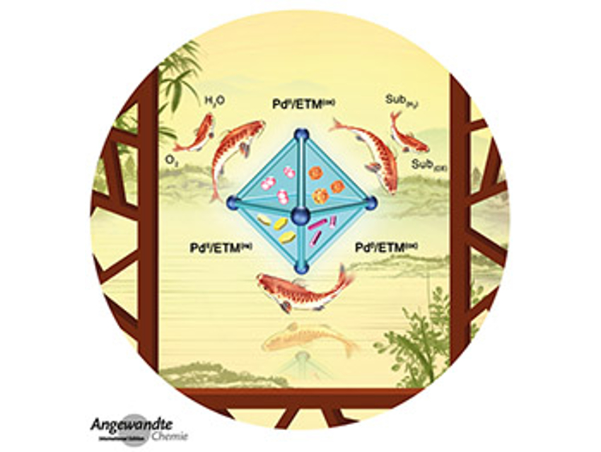 Angewandte Chemie 48/2019: Synergy